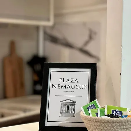 Cozy Centre - Plaza Nemausus Апартаменты