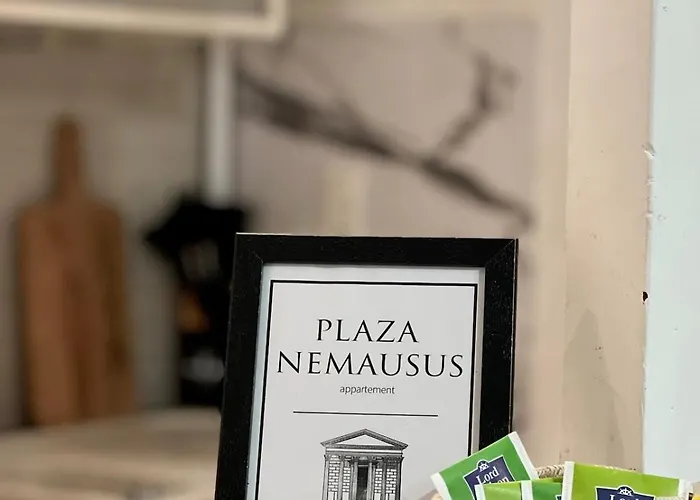 Cozy Centre - Plaza Nemausus Διαμέρισμα