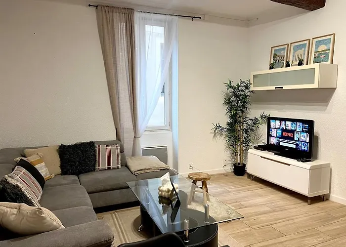 Cozy Centre - Plaza Nemausus Διαμέρισμα *
