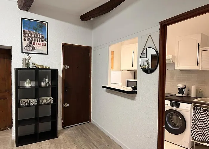 Διαμέρισμα Cozy Centre - Plaza Nemausus Νιμ